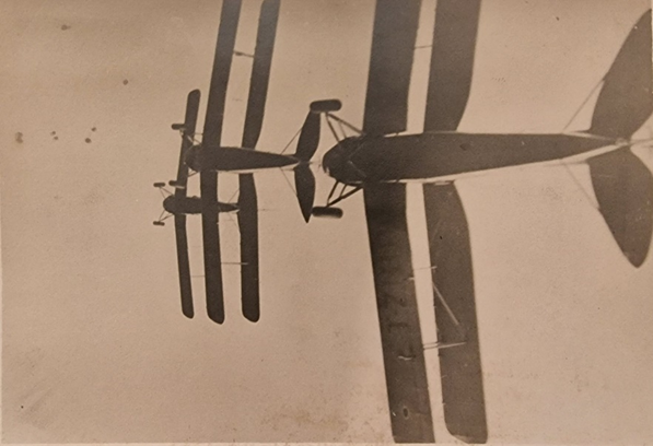 Underside view of Tiger Moths