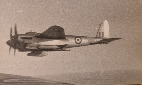 Mosquito