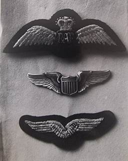 Frank’s British, American and German pilot wings