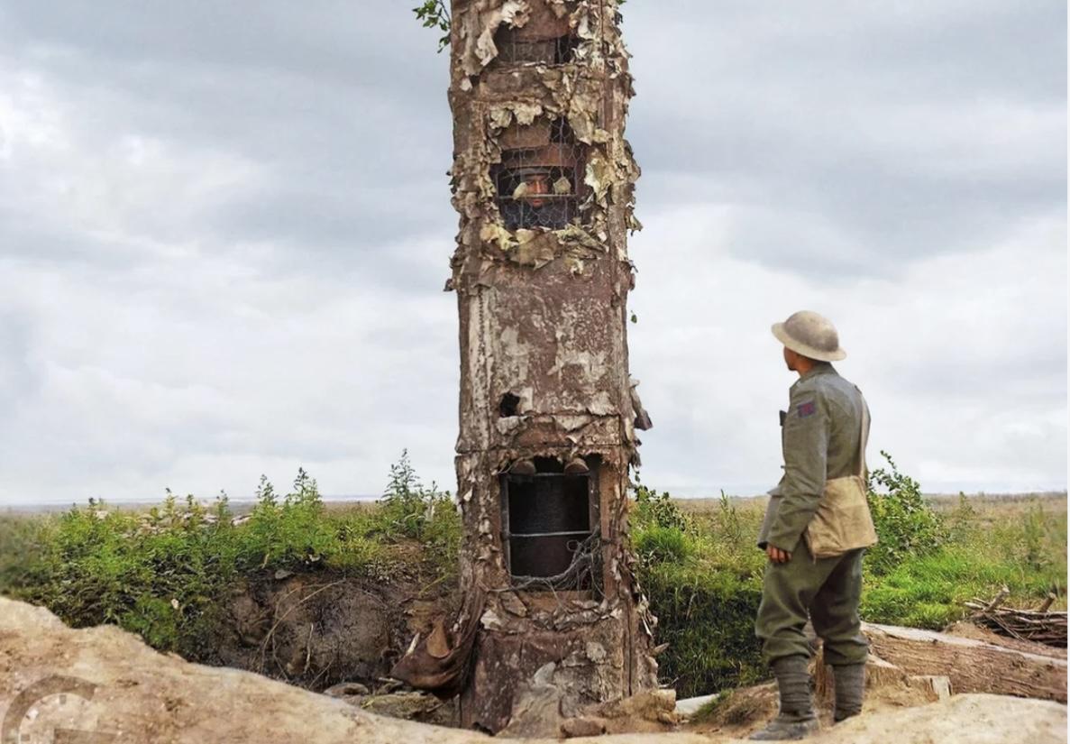 Tree surveillance 