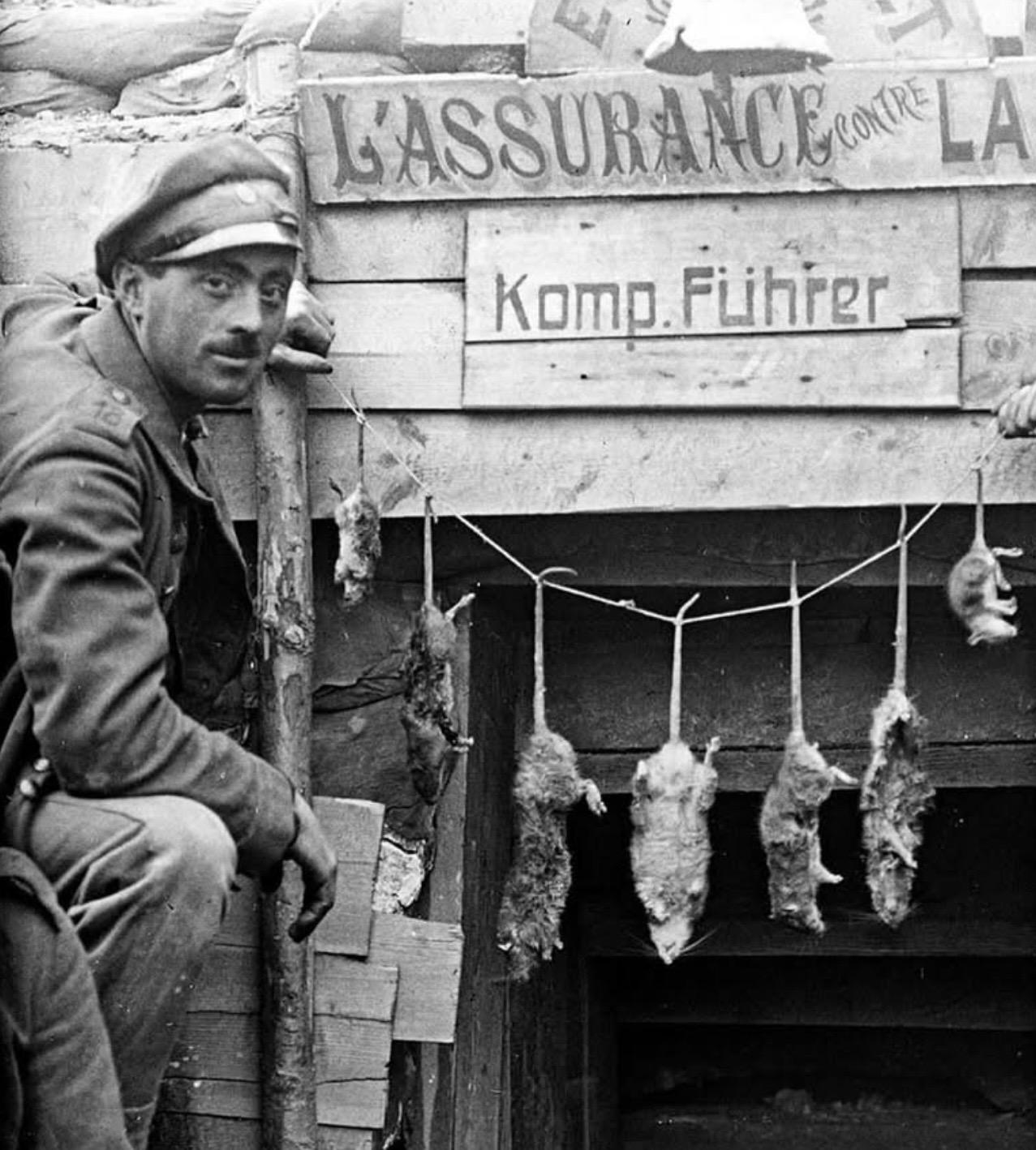 Trench rats 
