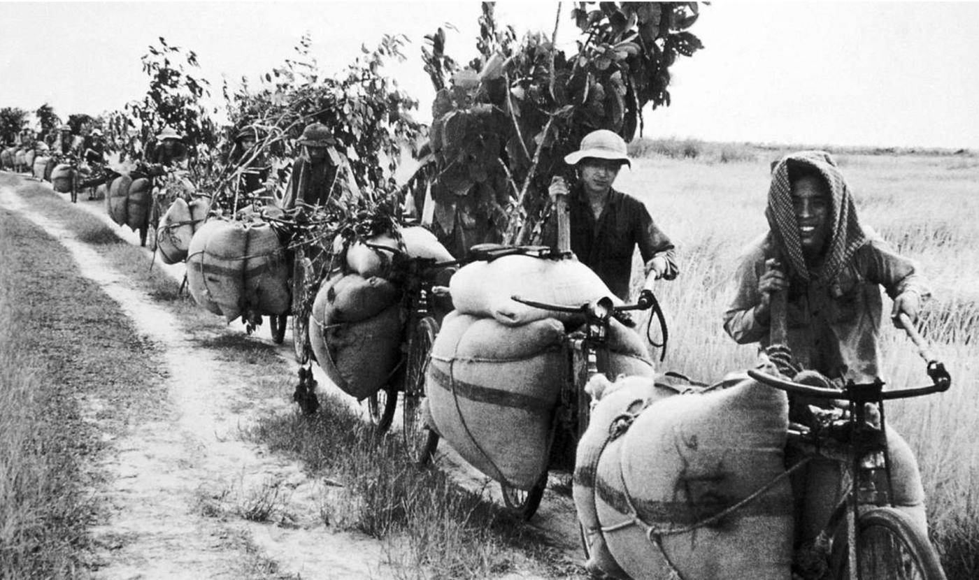 Transport bikes 