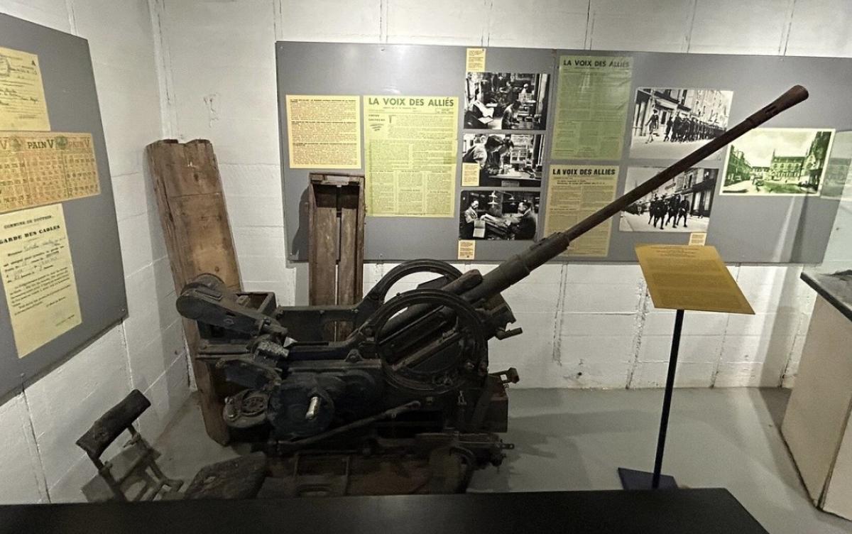 Museum 