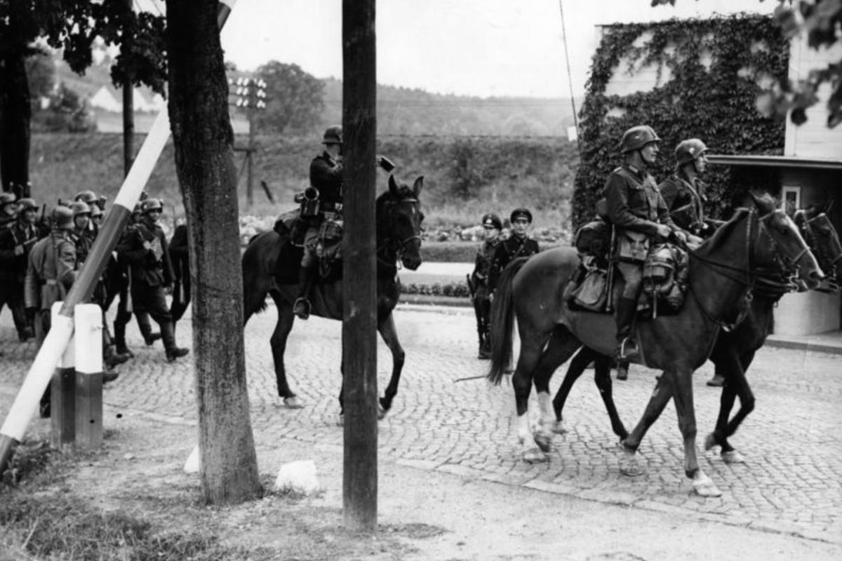 War horses
