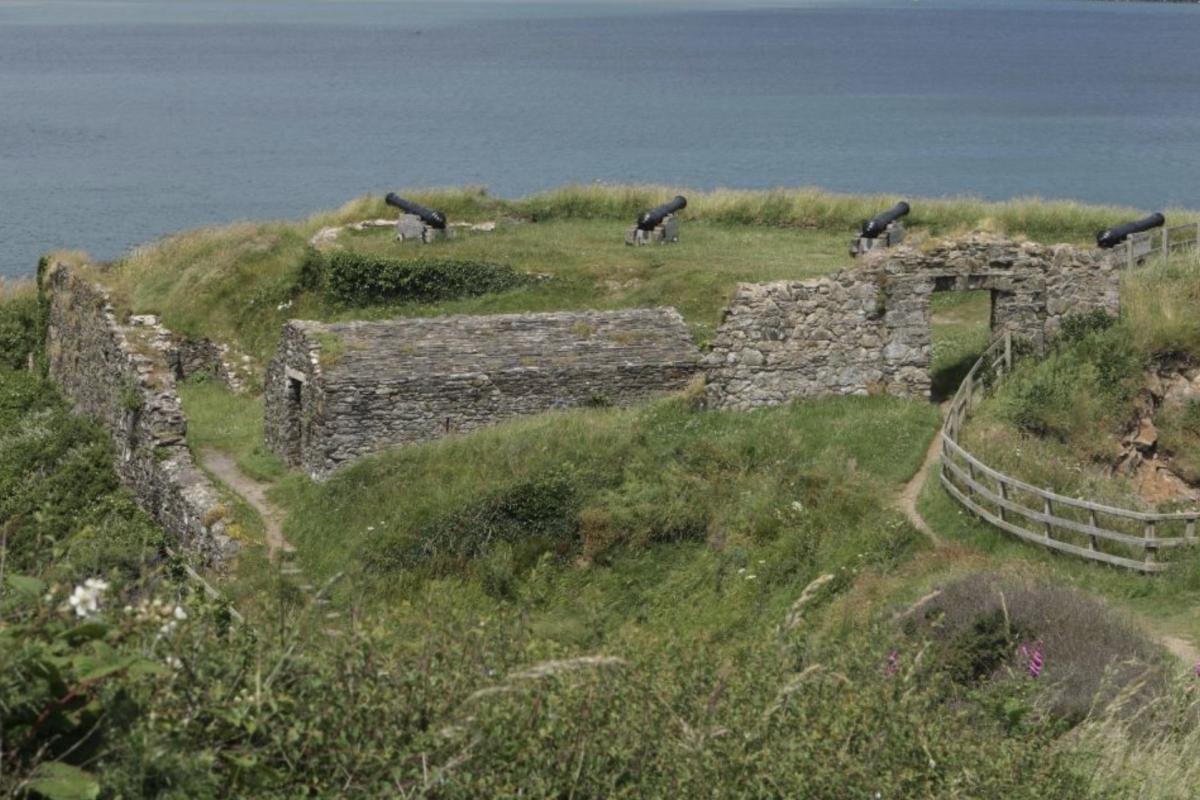 Battle of Fishguard 