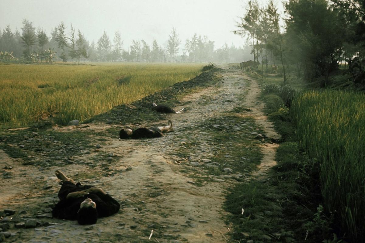 Vietnamese dead 