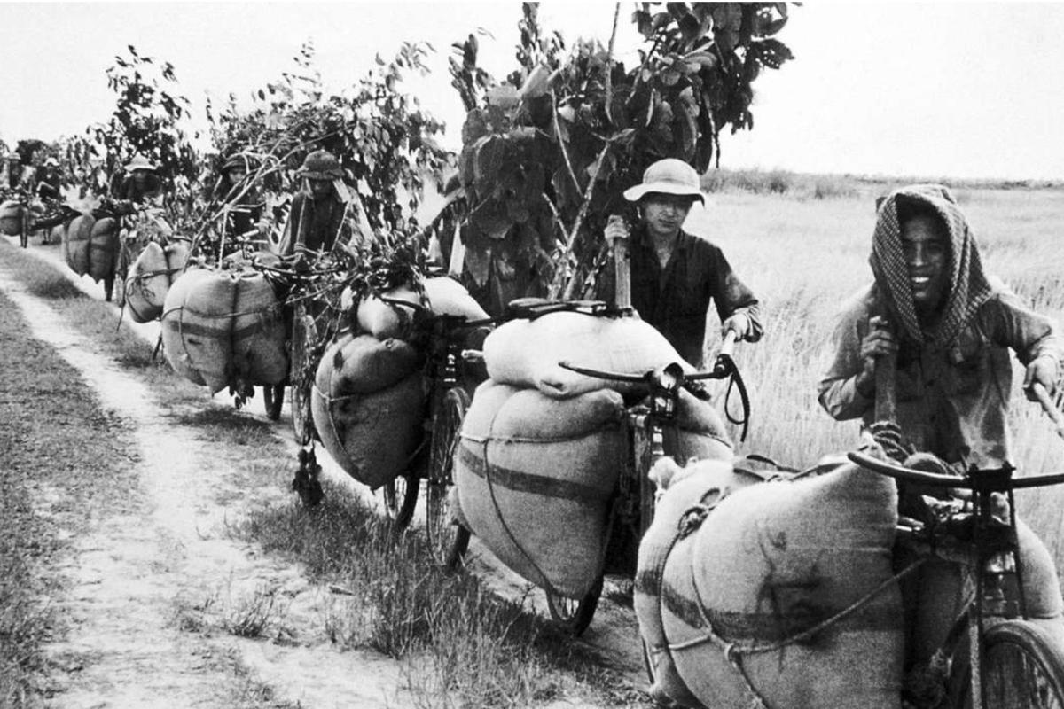 Transport bikes 